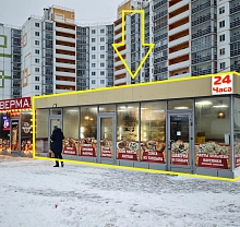 Шушары, Московское шоссе, 246 (50 кв м) у остановки