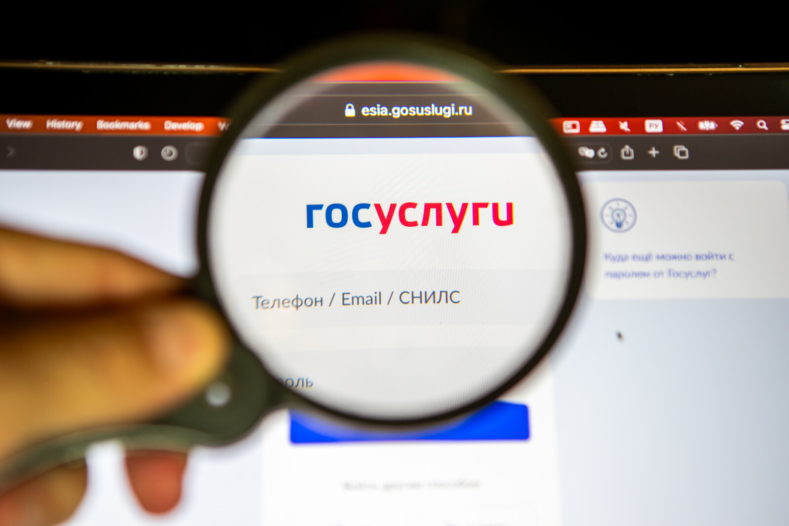 Бизнесу упростили получение разрешений через «Госуслуги»