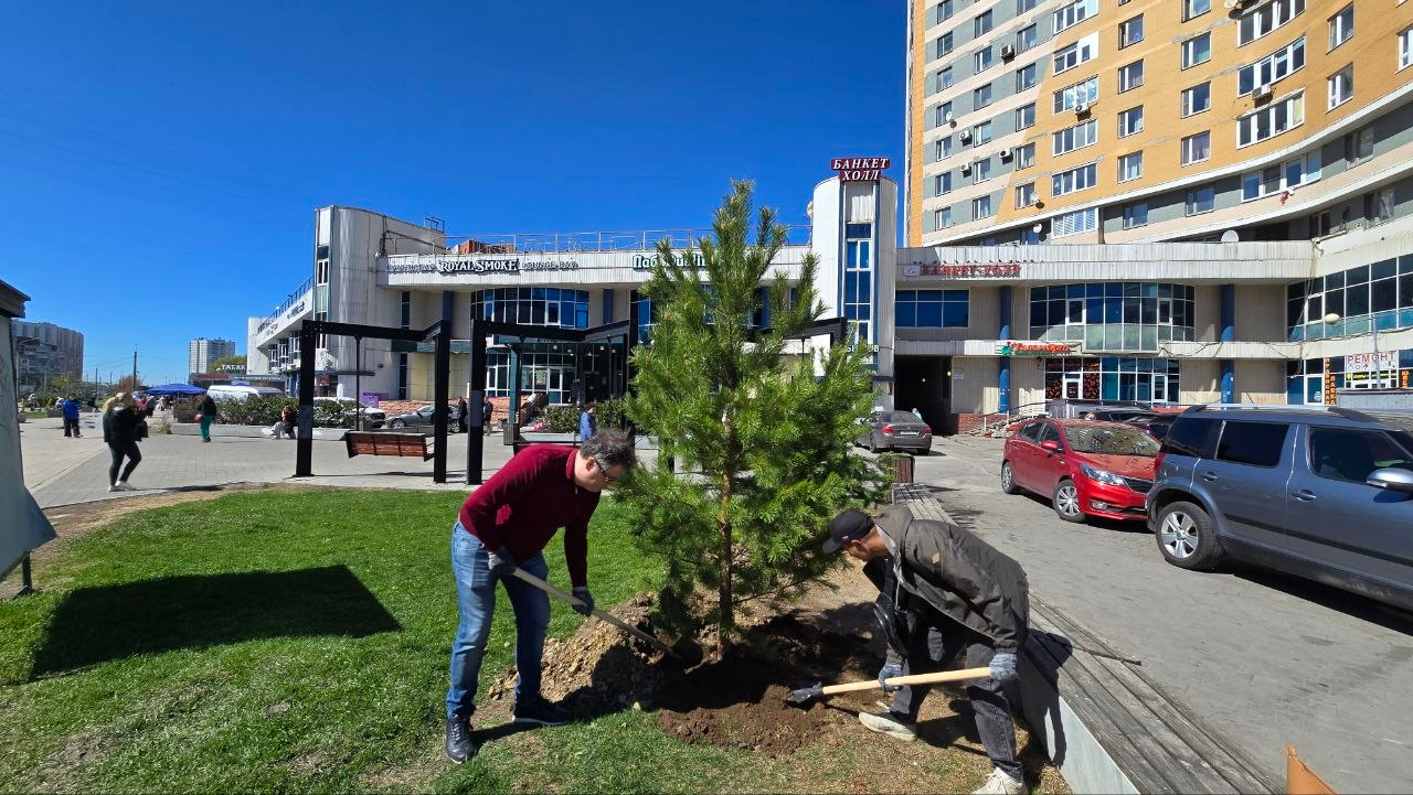 77 кустов сирени высадили в Невском районе при участии ГК Vestr