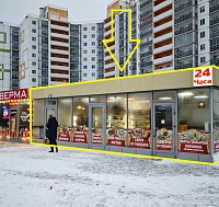 Шушары, Московское шоссе, 246 (50 кв м) у остановки