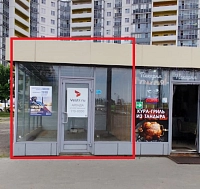 Шушары, Московское шоссе, 246 (17 кв метров)