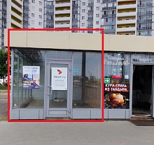Шушары, Московское шоссе, 246 (17 кв метров)