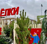 Торговая площадь под Ёлочный базар